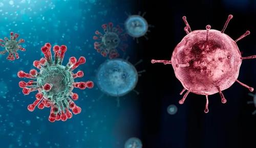 تولید شبه ویروس آنفلوآنزای طیور برای نخستین بار در انستیتو پاستور ایران