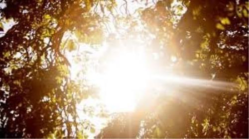بررسی بیشتر رابطه بین قرار گرفتن در معرض آفتاب و لطمه دیدن كلیه