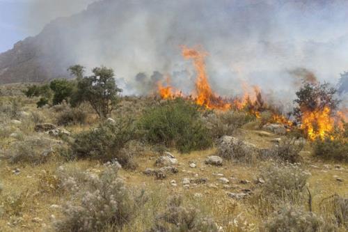 کاهش ۸۷ درصدی وسعت آتشسوزی در مناطق چهارگانه تهران