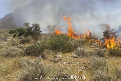 کاهش ۸۷ درصدی وسعت آتشسوزی در مناطق چهارگانه تهران