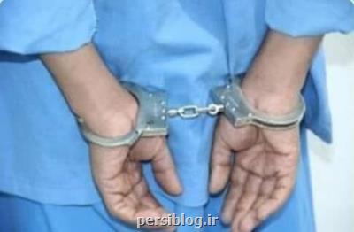 دستگیری ۱۲۰۰ سارق در لرستان