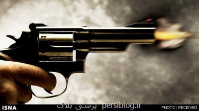 تیراندازی در آمریکا ۲۰ مصدوم برجا گذاشت