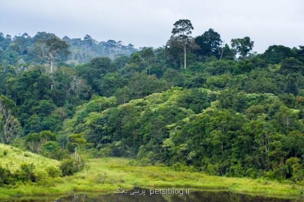 خطر انقراض گونه های جهانی فراتر از تصور است