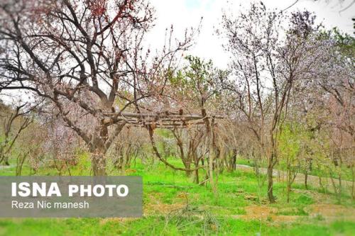 نفوذ توده هوای سرد و تنش دمایی در استانهای ساحلی دریای خزر