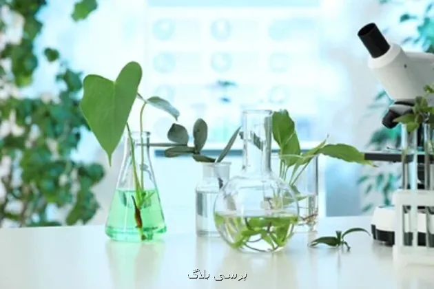 تدوین نقشه راه جامع مشترک غذا و گیاهان دارویی  در دستور کار دو ستاد معاونت علمی