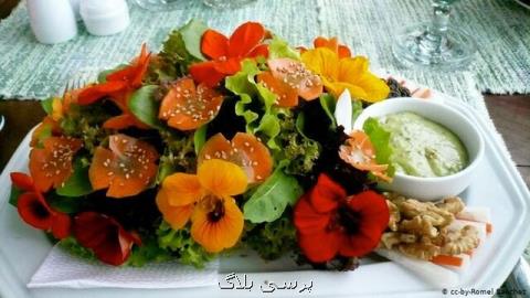 گل های خوراكی و خواص آنها