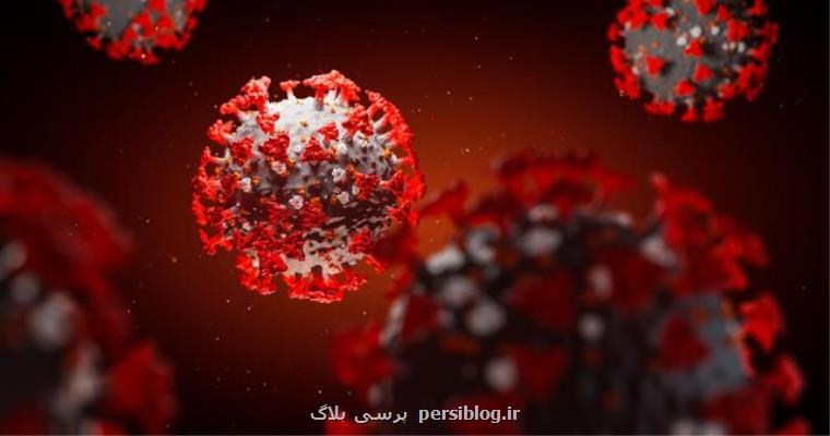 به ازای هر مبتلا یك ناقل بدون علامت كرونا وجود دارد