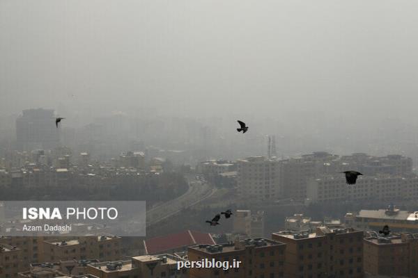 لزوم مشاركت دستگاهها برای رفع معضل آلودگی هوا